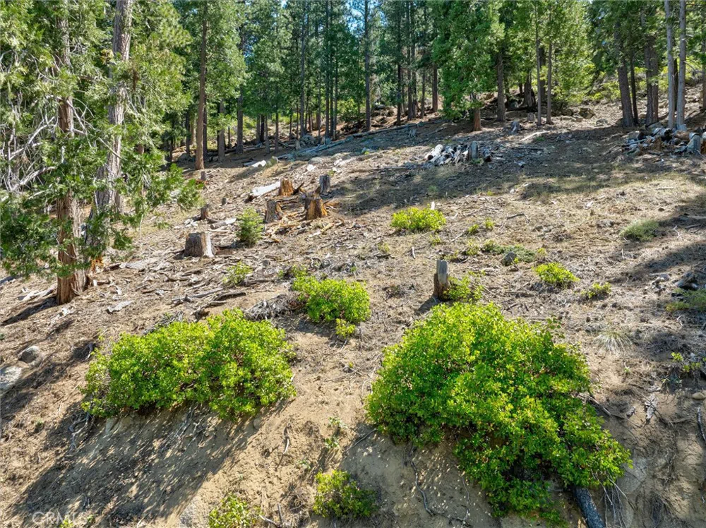 7343 Yosemite Park Way Yosemite, CA 95389