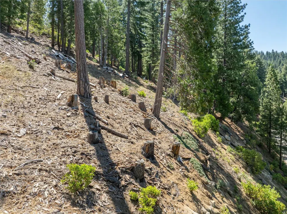 7343 Yosemite Park Way Yosemite, CA 95389