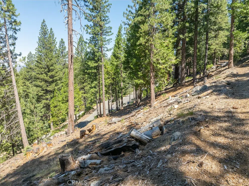 7343 Yosemite Park Way Yosemite, CA 95389