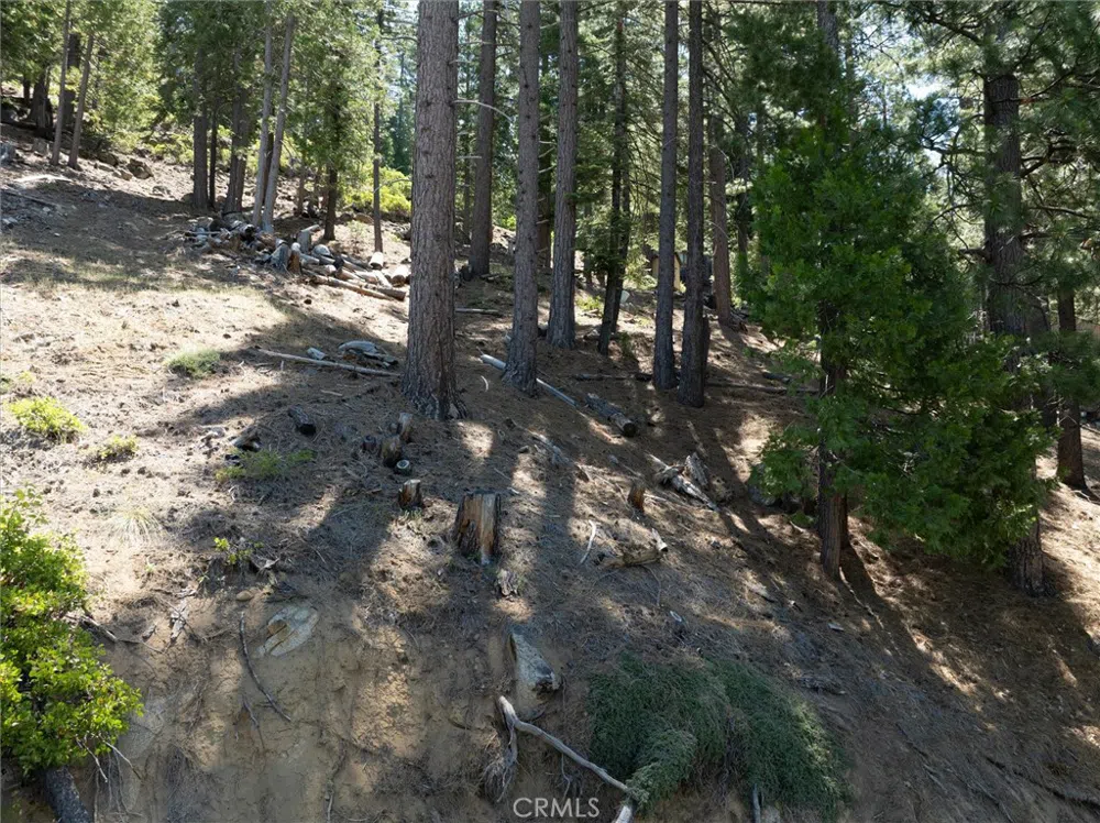 7343 Yosemite Park Way Yosemite, CA 95389