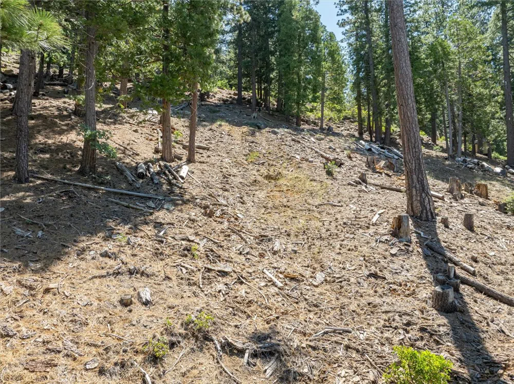 7343 Yosemite Park Way Yosemite, CA 95389