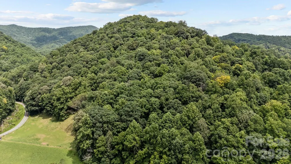 99999 Windswept Drive Burnsville, NC 28714