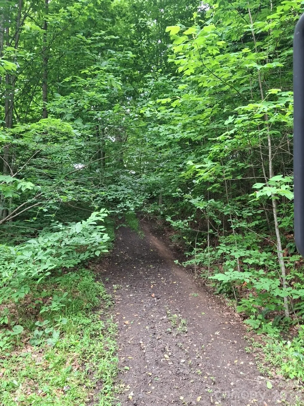 99999 Windswept Drive Burnsville, NC 28714