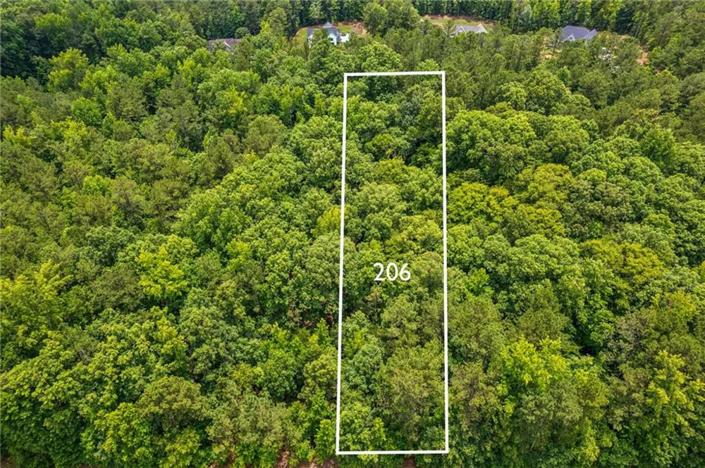 206 Crescent Drive Forsyth, GA 31029