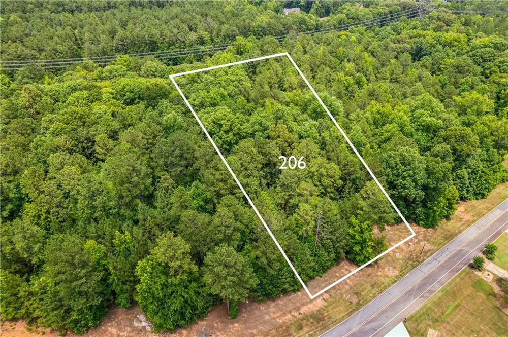 206 Crescent Drive Forsyth, GA 31029