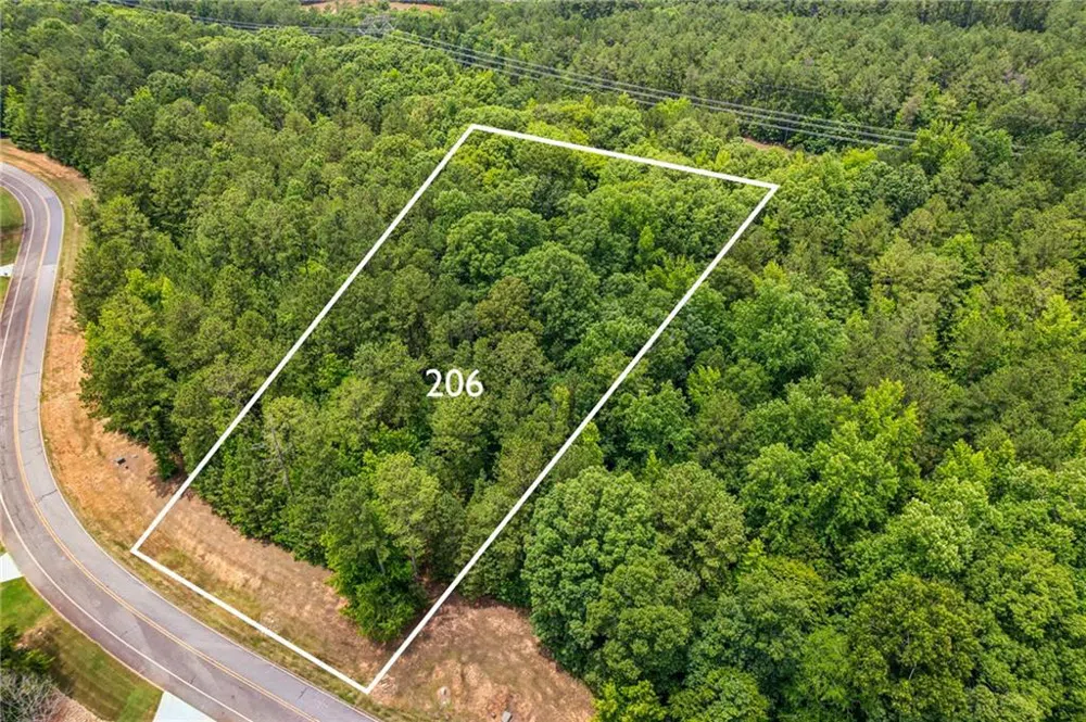 206 Crescent Drive Forsyth, GA 31029