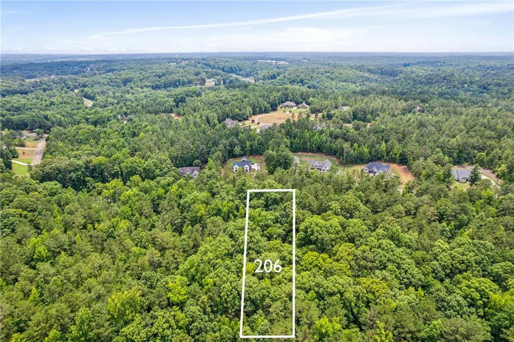 206 Crescent Drive Forsyth, GA 31029