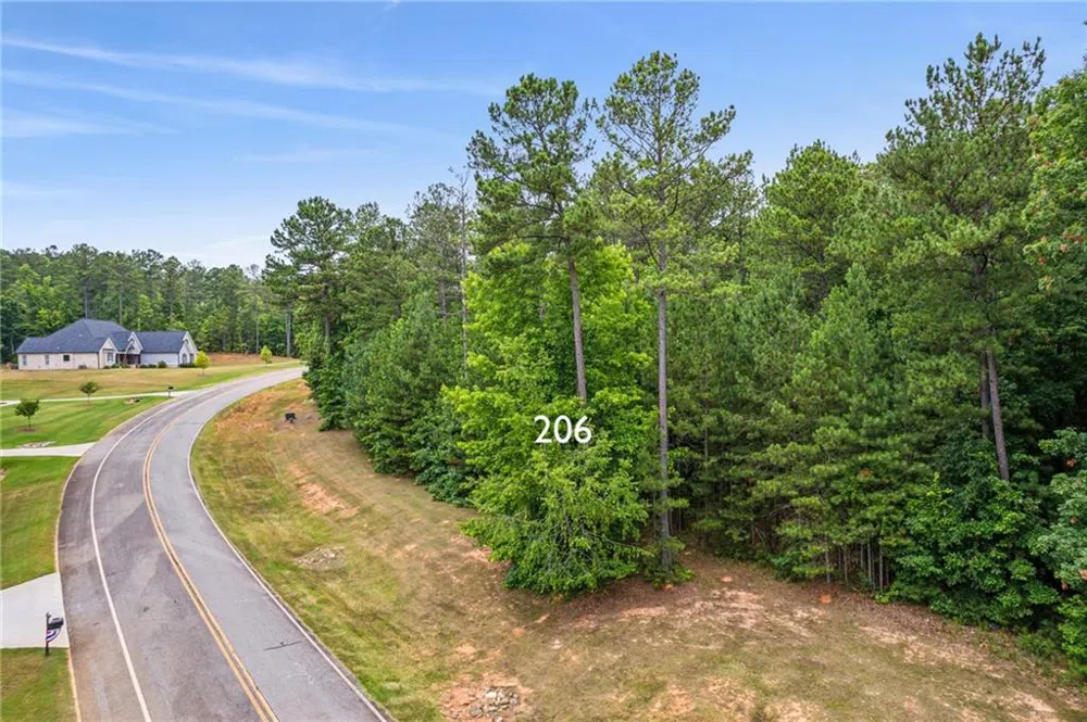 206 Crescent Drive Forsyth, GA 31029