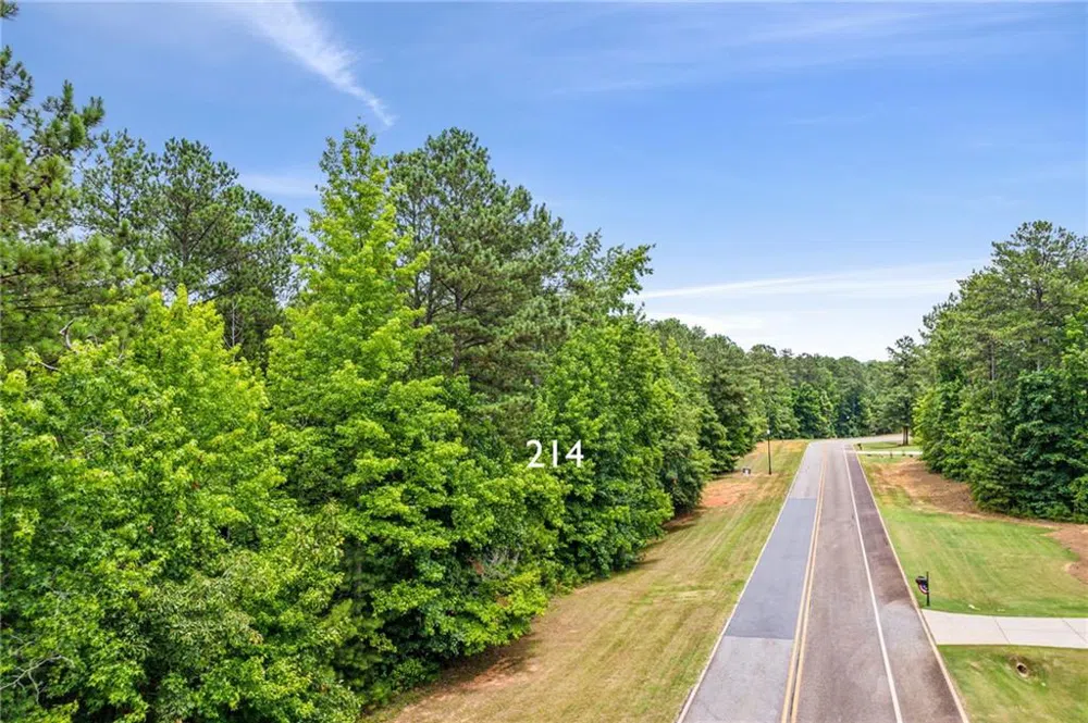 214 Crescent Drive Forsyth, GA 31029