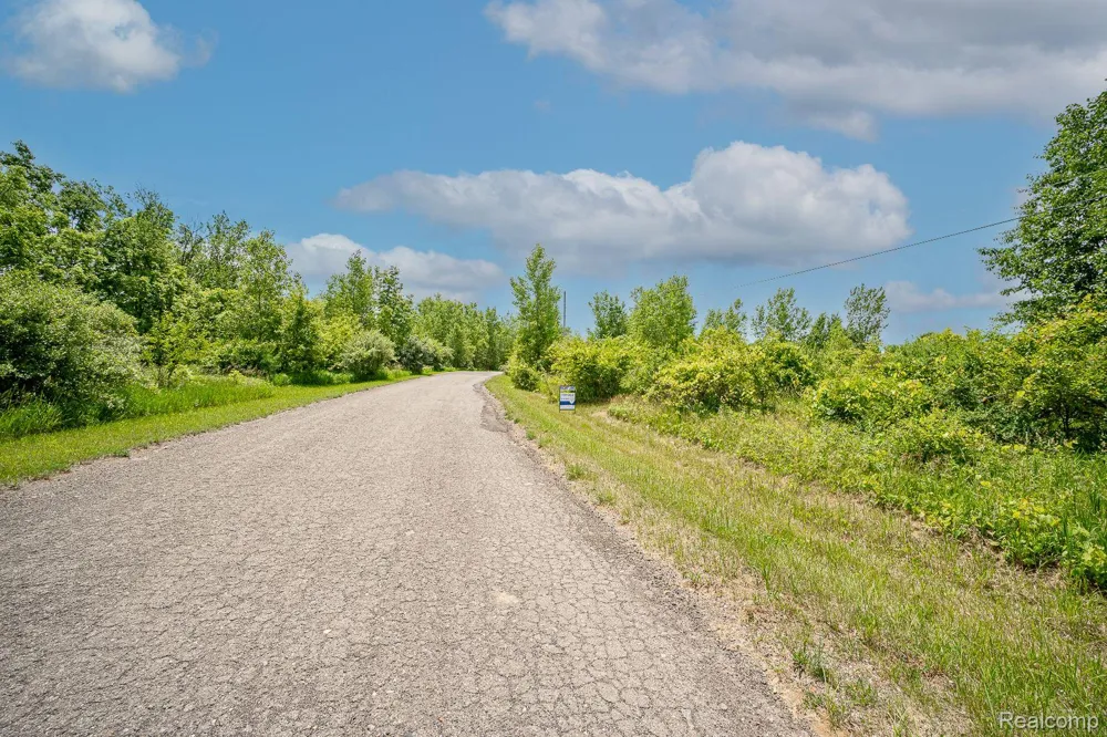 Fosland Farms Drive Rives Township, MI 49201