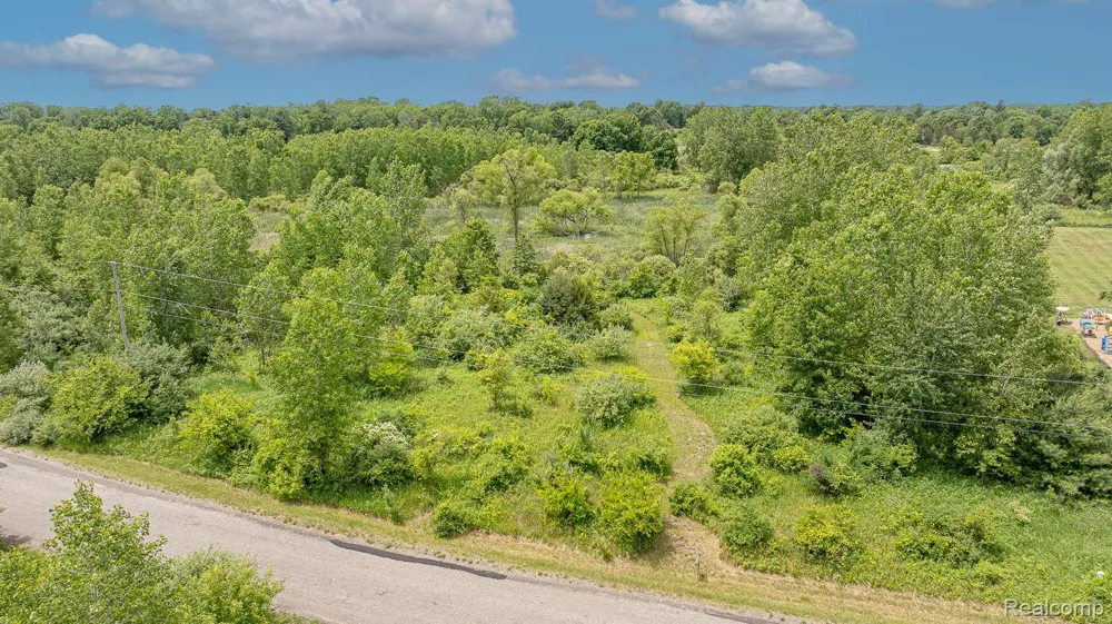 Fosland Farms Drive Rives Township, MI 49201