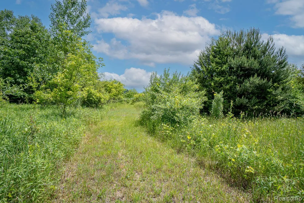 Fosland Farms Drive Rives Township, MI 49201