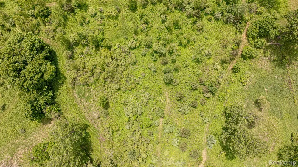 Fosland Farms Drive Rives Township, MI 49201
