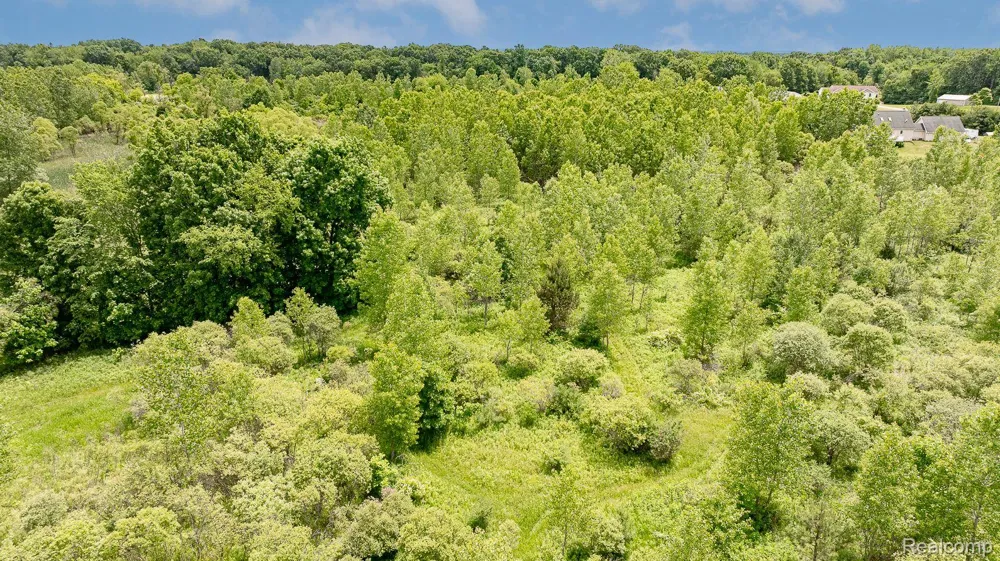 Fosland Farms Drive Rives Township, MI 49201