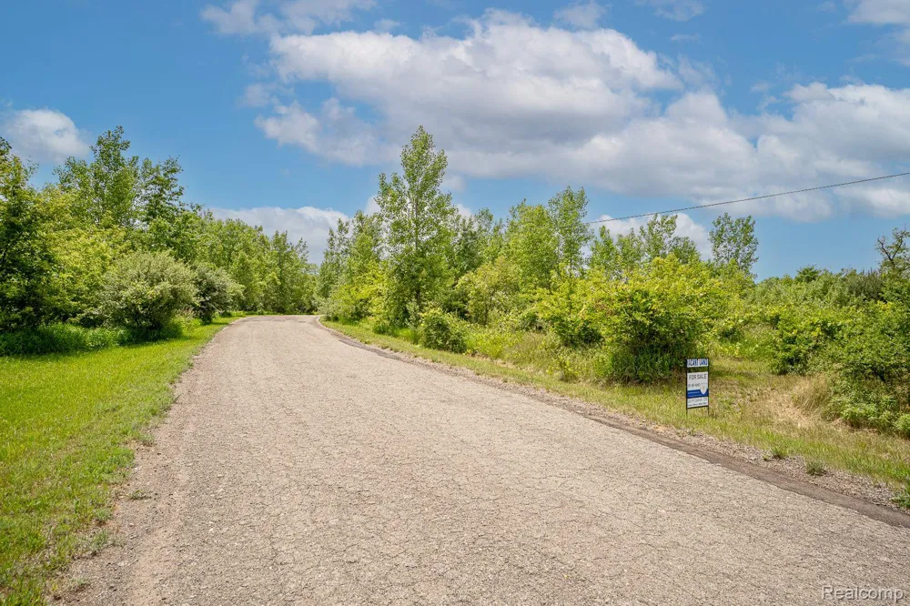 Fosland Farms Drive Rives Township, MI 49201