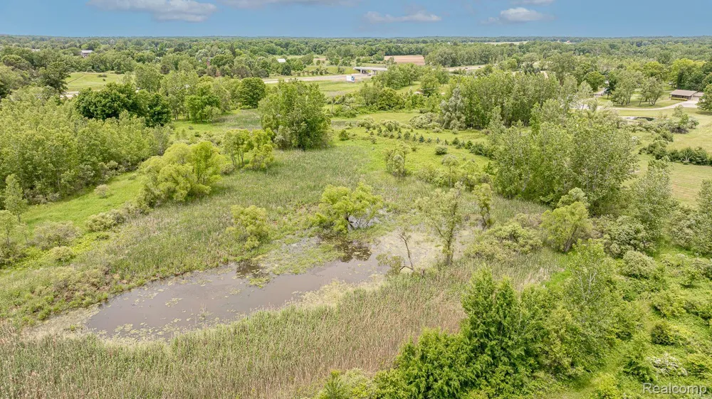 Fosland Farms Drive Rives Township, MI 49201