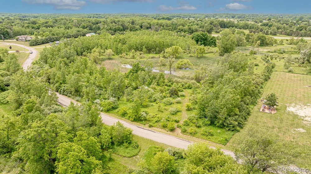 Fosland Farms Drive Rives Township, MI 49201
