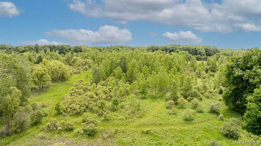 Fosland Farms Drive Rives Township, MI 49201