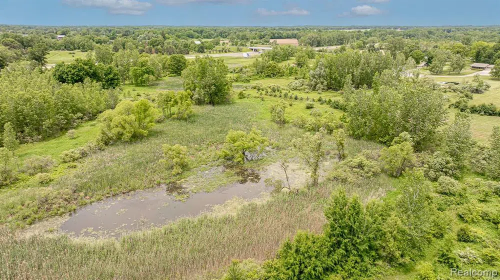 Fosland Farms Drive Rives Township, MI 49201