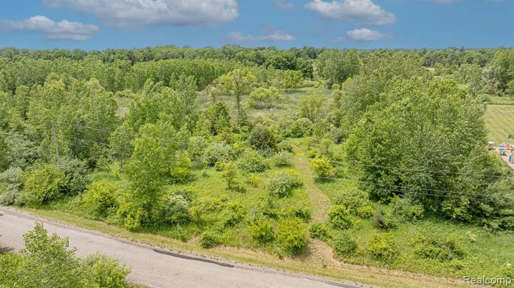 Fosland Farms Drive Rives Township, MI 49201