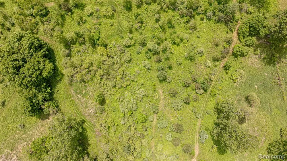 Fosland Farms Drive Rives Township, MI 49201