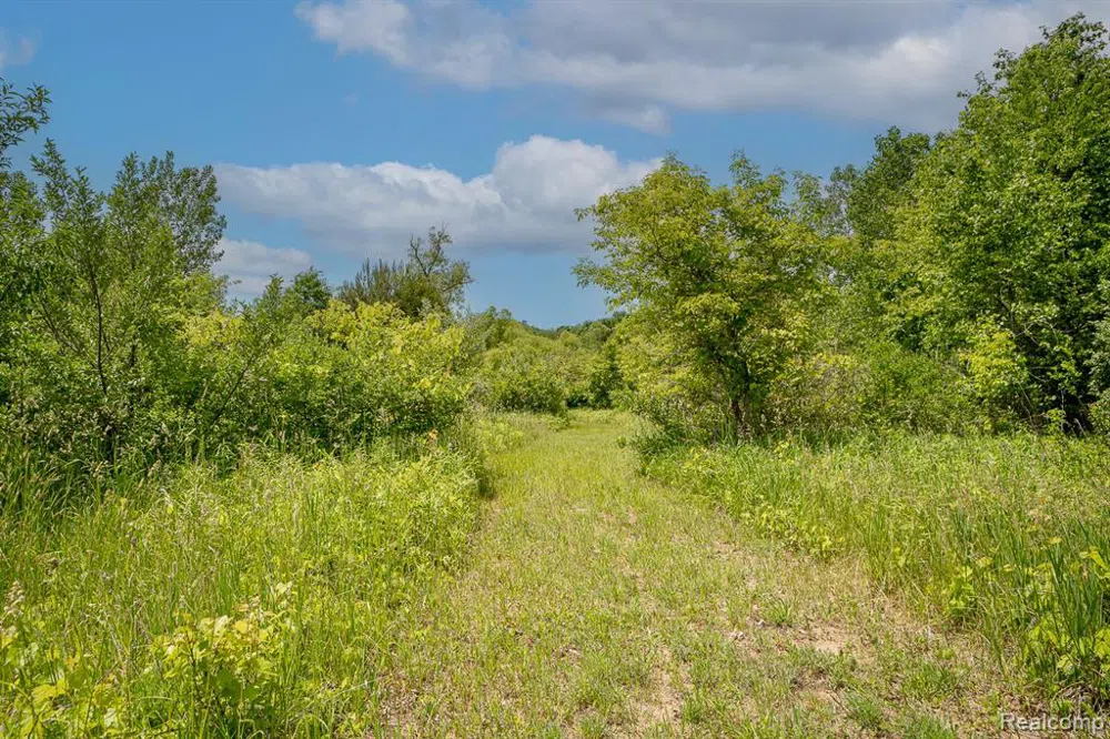 Fosland Farms Drive Rives Township, MI 49201