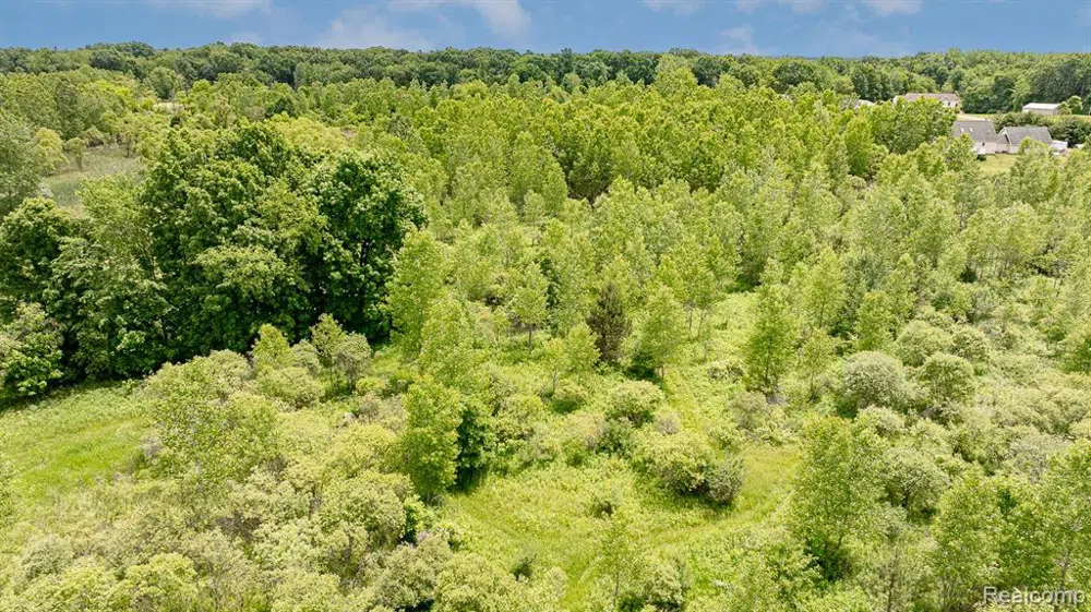 Fosland Farms Drive Rives Township, MI 49201