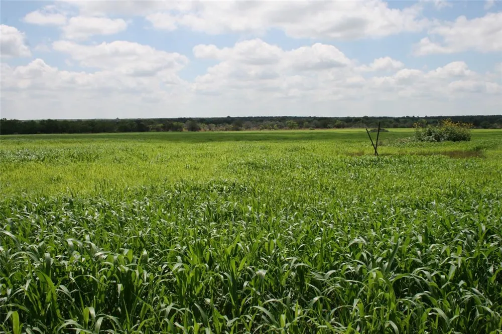 464 Upper Brad Road Strawn, TX 76475