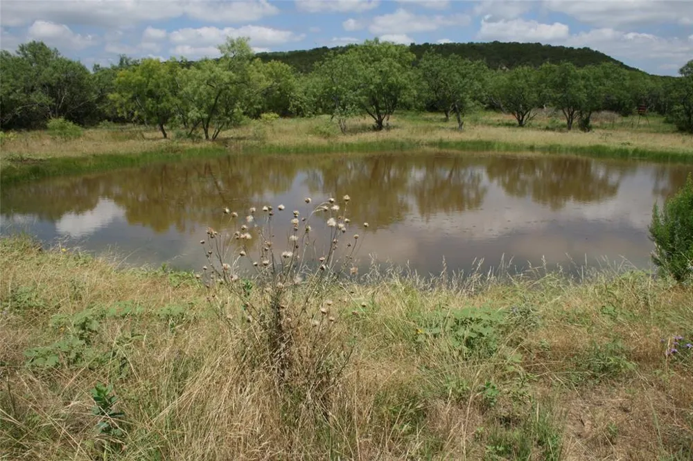 464 Upper Brad Road Strawn, TX 76475