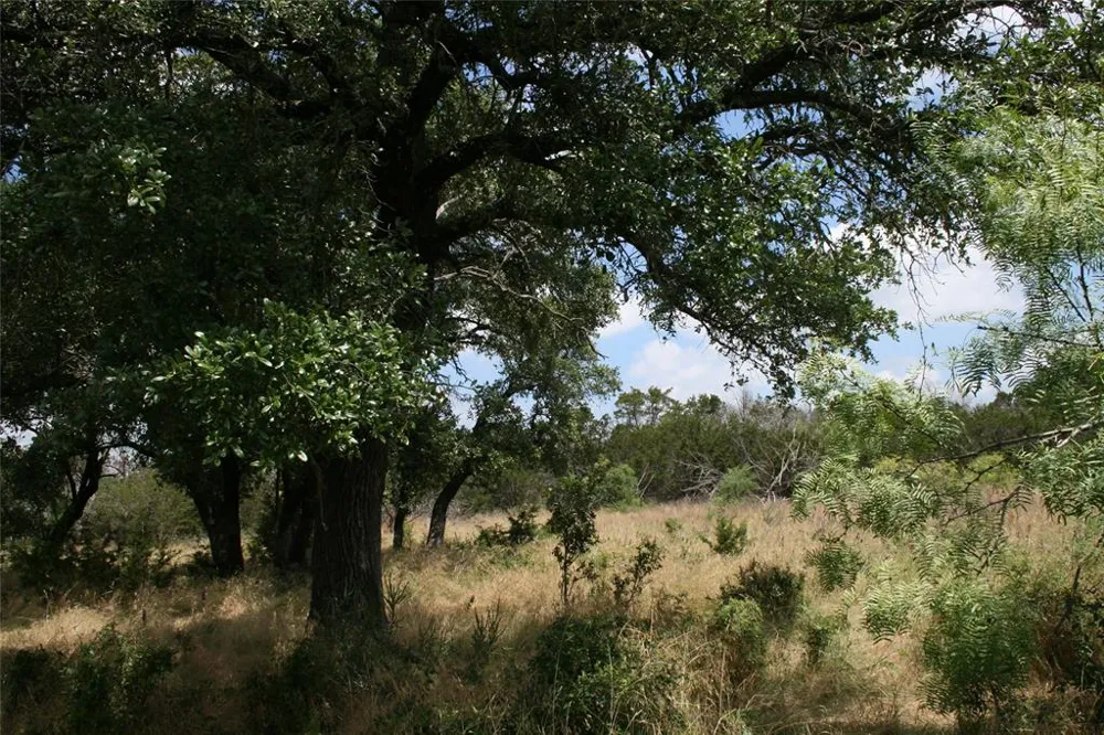 464 Upper Brad Road Strawn, TX 76475