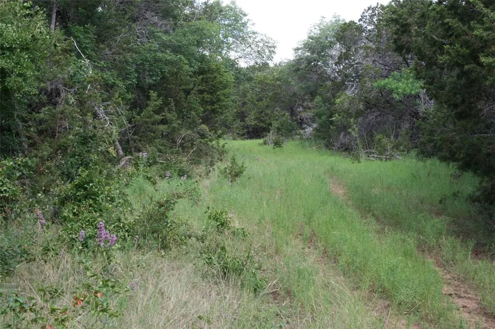 464 Upper Brad Road Strawn, TX 76475