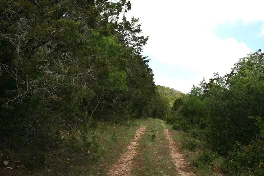 464 Upper Brad Road Strawn, TX 76475