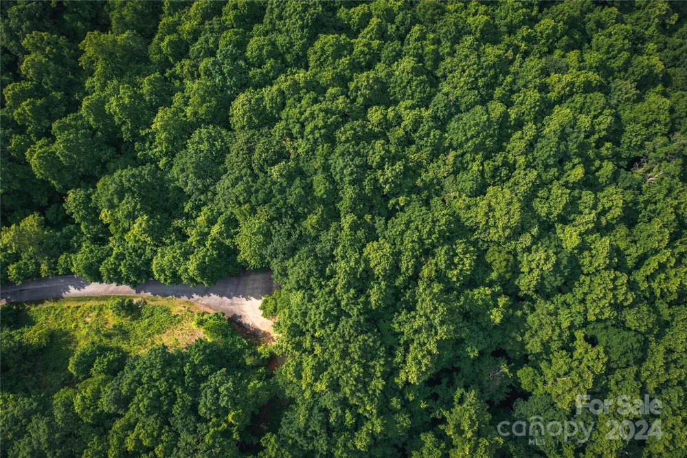 240 Smokemont Drive Arden, NC 28704