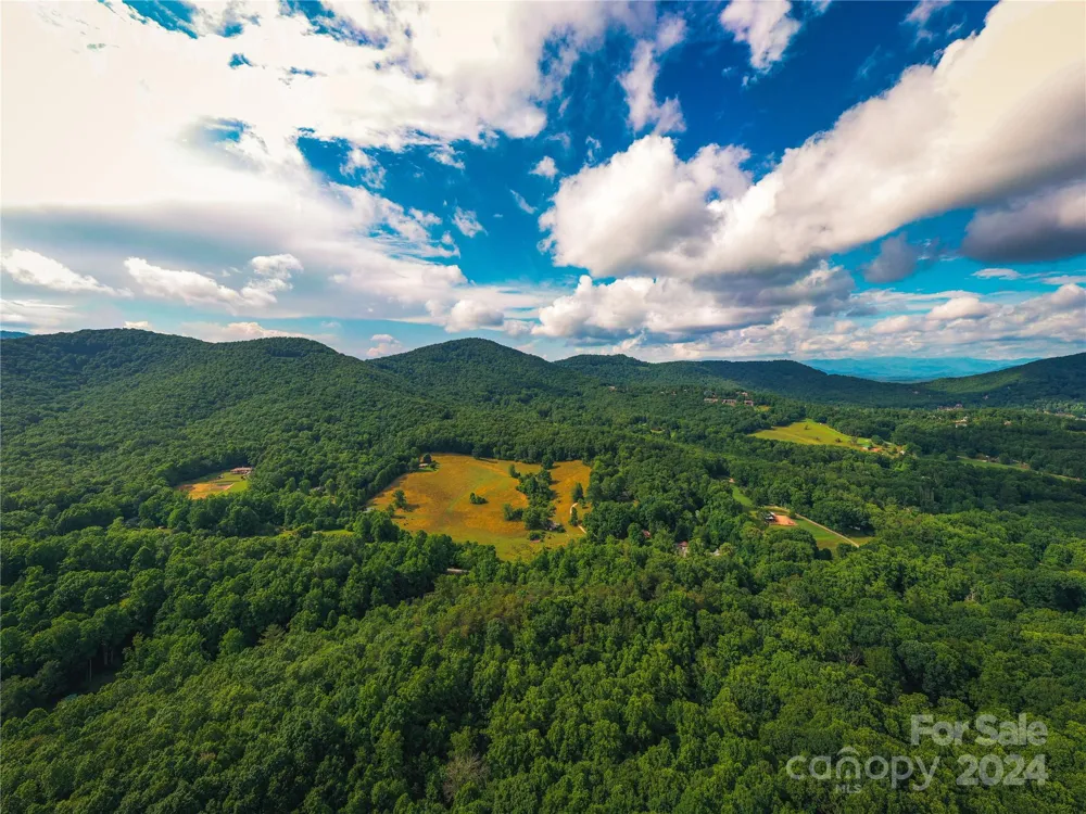 240 Smokemont Drive Arden, NC 28704