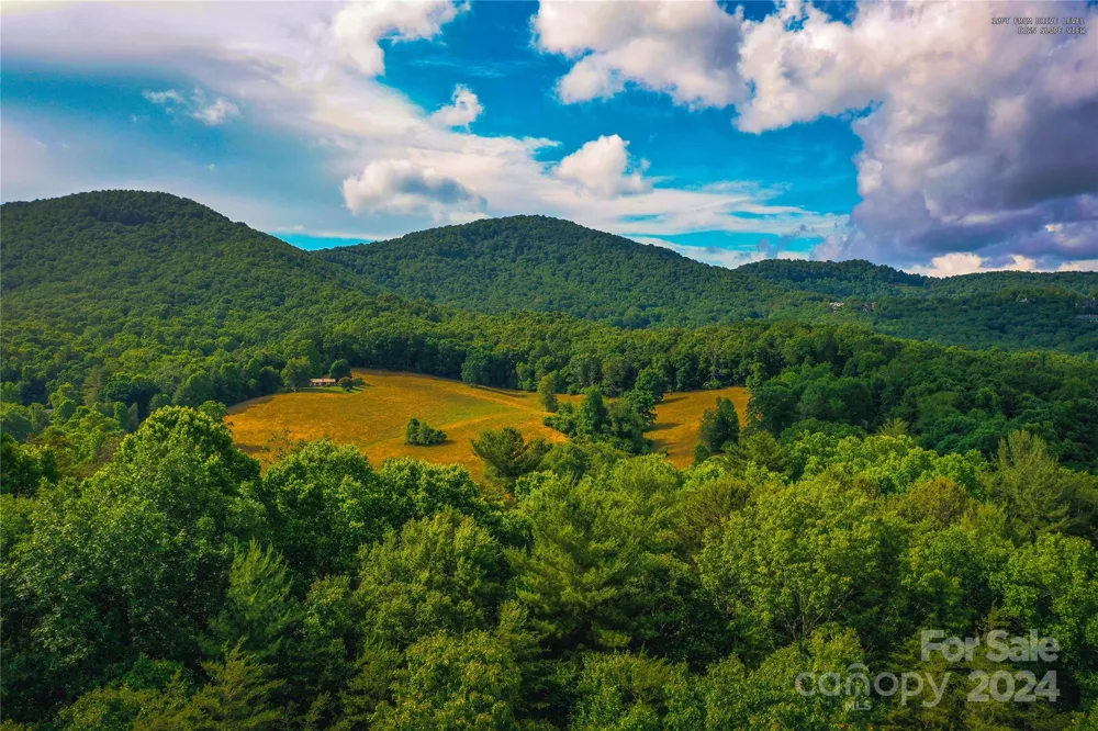 240 Smokemont Drive Arden, NC 28704