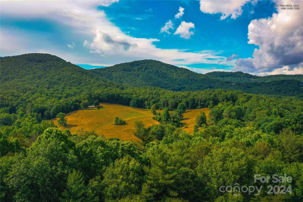 240 Smokemont Drive Arden, NC 28704
