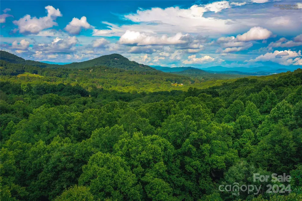 240 Smokemont Drive Arden, NC 28704