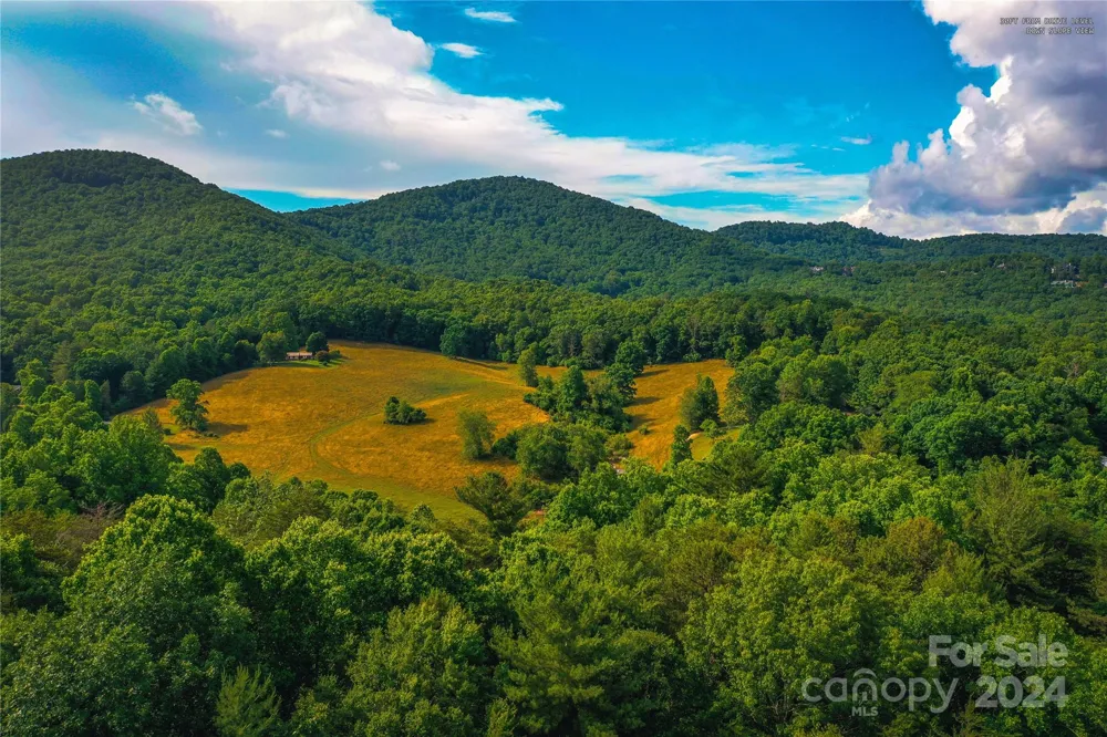 240 Smokemont Drive Arden, NC 28704
