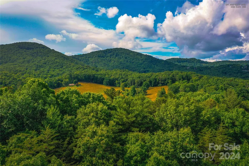 240 Smokemont Drive Arden, NC 28704