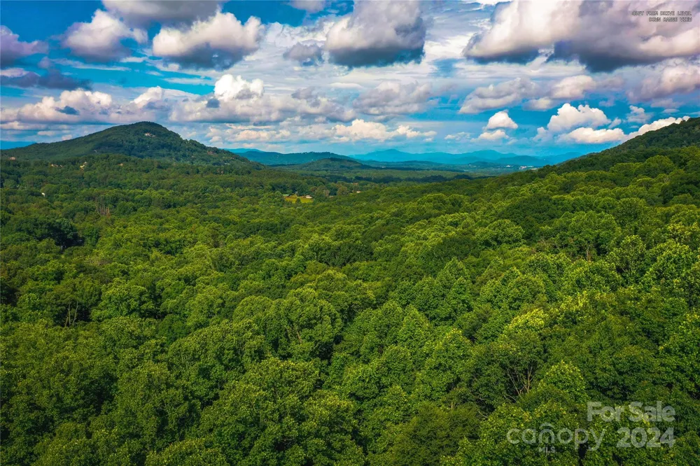 240 Smokemont Drive Arden, NC 28704