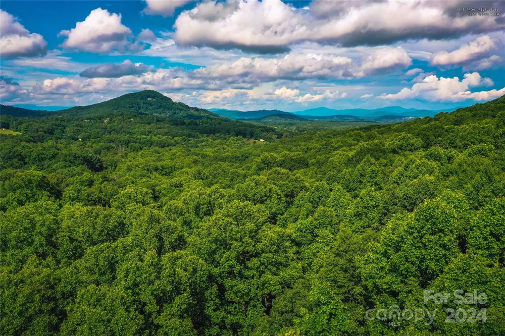 240 Smokemont Drive Arden, NC 28704