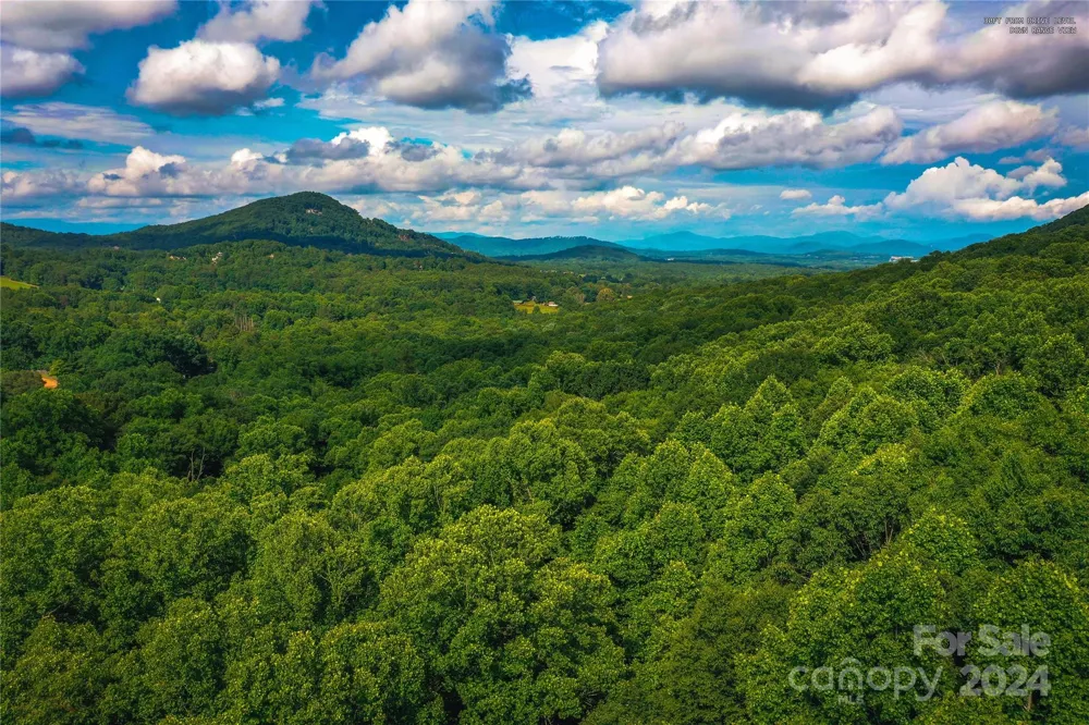 240 Smokemont Drive Arden, NC 28704