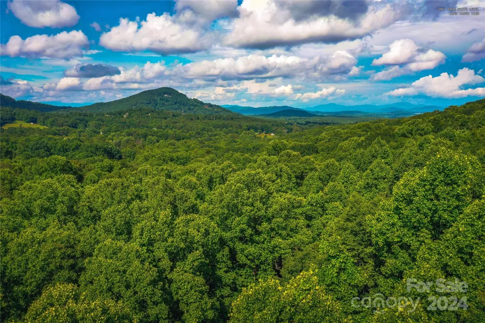 240 Smokemont Drive Arden, NC 28704