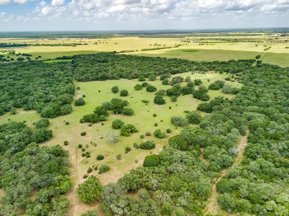TBD 552.77 AC Eagle Lake, TX 77434