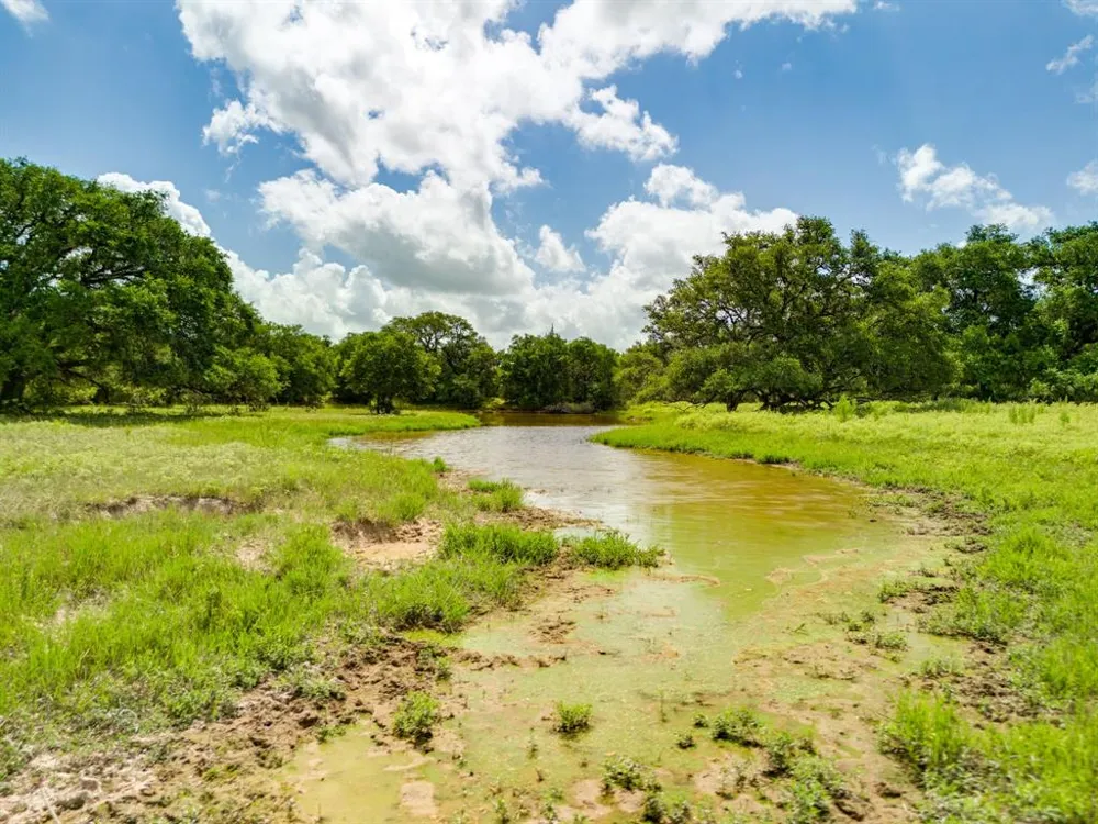 TBD 552.77 AC Eagle Lake, TX 77434