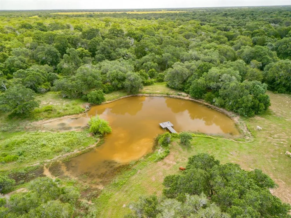 TBD 552.77 AC Eagle Lake, TX 77434