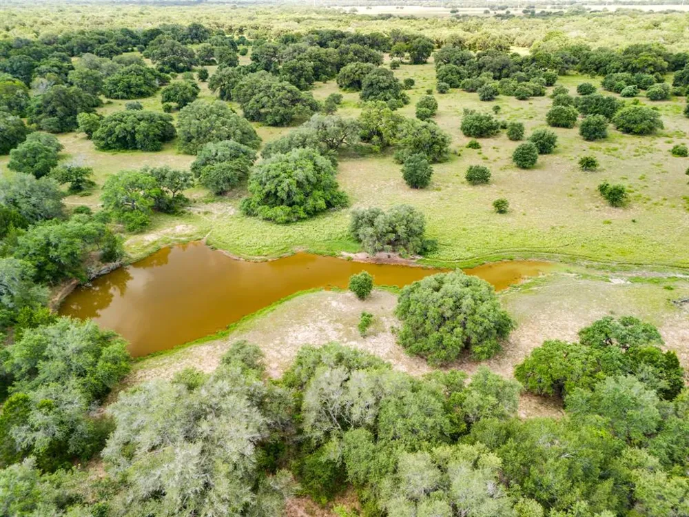 TBD 552.77 AC Eagle Lake, TX 77434