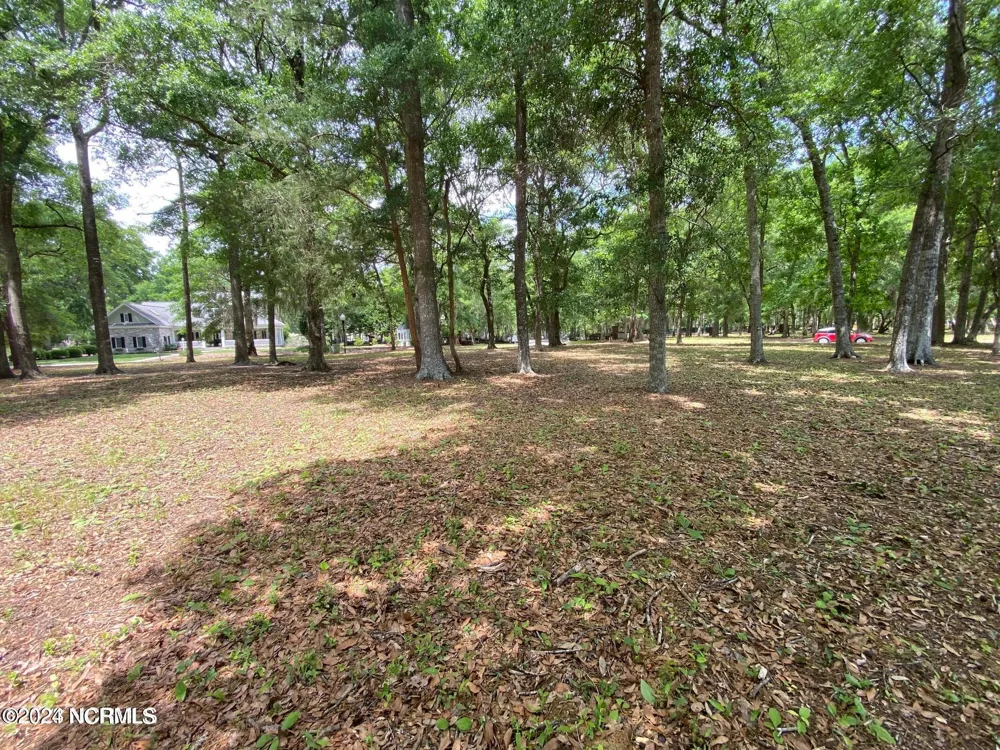 1311 Harbour Watch SW Calabash, NC 28467