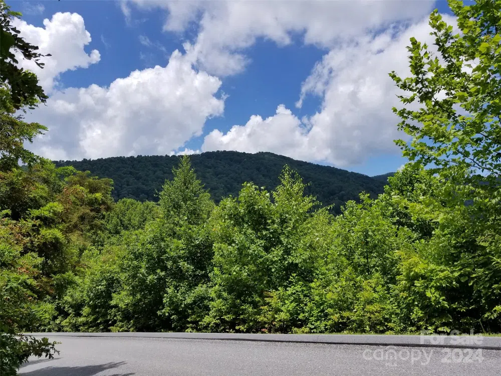 567 Blue Mist Way Arden, NC 28704