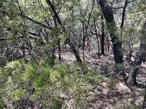 20610 Agarita Drive Leander, TX 78645